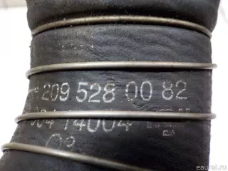 2095280082 Mercedes Benz Патрубок интеркулера Mercedes E W211 Арт E40540962, вид 4