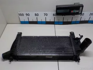 14461EB360 Nissan Интеркулер Nissan Navara D23 Арт E84596728, вид 1