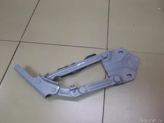 1T0823302F VAG Петля капота правая Volkswagen Touran 1 Арт E100307787, вид 3