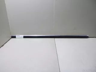 3B0853516C VAG Молдинг передней правой двери Volkswagen Passat B5 Арт E15047893, вид 1