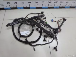 12513448536 BMW Жгут проводов (Проводка) BMW X3 F25 Арт E48252861, вид 1