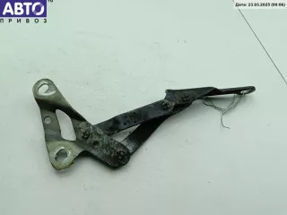  Петля капота правая Volkswagen Sharan 1 restailing Арт 54578326, вид 1