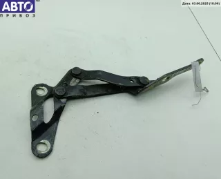  Петля капота правая Volkswagen Sharan 1 restailing Арт 54578326, вид 2