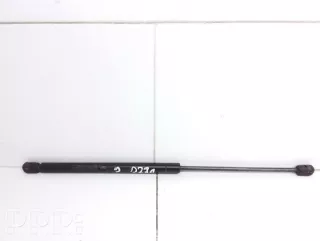 9616784580 , artPAC18820 Амортизатор крышки багажника (3-5 двери) Peugeot 406 Арт PAC18820, вид 1
