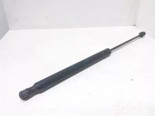 91802560512 , artARA44076 Амортизатор крышки багажника (3-5 двери) Opel Signum Арт ARA44076, вид 1
