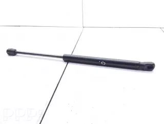 3c5827550a , artPAC50753 Амортизатор крышки багажника (3-5 двери) Volkswagen Passat B6 Арт PAC50753, вид 1