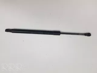 7250308 , artCAP12051 Амортизатор крышки багажника (3-5 двери) BMW 3 E90/E91/E92/E93 Арт CAP12051, вид 1