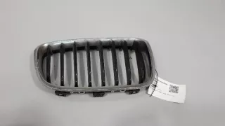 7262118 , art3063066 Заглушка (решетка) в бампер передний BMW 1 F20/F21 Арт 3063066, вид 1