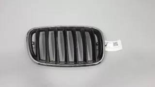 7157688 , art3063153 Заглушка (решетка) в бампер передний BMW X5 E70 Арт 3063153, вид 1