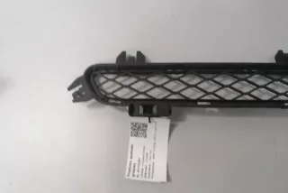 7210466 , art3065058 Заглушка (решетка) в бампер передний BMW X3 F25 Арт 3065058, вид 2