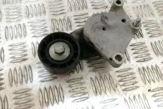 TF129 , art9564181 Натяжитель Ford Fiesta 6 Арт 9564181, вид 4