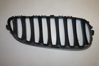 art2415123 Заглушка (решетка) в бампер передний BMW Z4 E89 Арт 2415123, вид 3