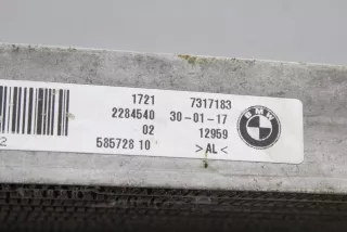 7317183 , art10319375 Радиатор масляный BMW 4 F32/F33/GT F36 Арт 10319375, вид 8