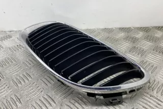 7254969, 7254971 , art9055757 Заглушка (решетка) в бампер передний BMW 3 E90/E91/E92/E93 Арт 9055757, вид 7