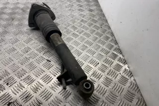 6782876, 33526782876 , art9675659 Амортизатор задний правый BMW X5 E70 Арт 9675659, вид 4