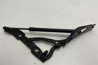 7060627 , art9507401 Петля крышки багажника BMW 3 E90/E91/E92/E93 Арт 9507401, вид 1