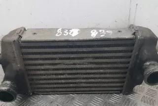 1072868503A , art300513 Интеркулер Chrysler Voyager 4 Арт 300513, вид 1