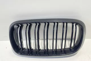 art4121356 Заглушка (решетка) в бампер передний BMW X5 F85 Арт 4121356, вид 1
