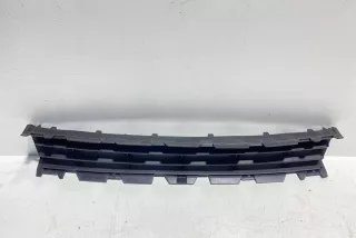 8200114155 , art5249962 Заглушка (решетка) в бампер передний Renault Megane 2 Арт 5249962, вид 4