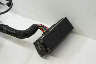 1013272-00-E, 1009096-04-H, 1011301-00-C , art6462706 Проводка Tesla model S Арт 6462706, вид 7
