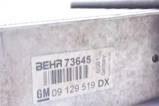 9129519 , art7913950 Интеркулер Opel Astra G Арт 7913950, вид 2