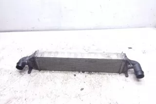 a2465000900, z4633002 , art10064258 Интеркулер Mercedes Sprinter W901-905 Арт 10064258, вид 1