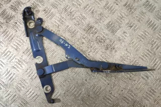 4F5827301D , art2910248 Петля крышки багажника Audi A6 C6 (S6,RS6) Арт 2910248, вид 1
