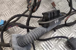 9234360, 9234359, 9147281 , art3413633 Проводка двери BMW 7 F01/F02 Арт 3413633, вид 4