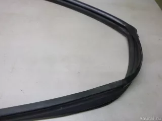 8254038001 Hyundai-Kia Уплотнитель двери Hyundai Sonata (DN8) Арт E60545264, вид 5