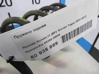 5535038800 Hyundai-Kia Пружина подвески задняя Hyundai Sonata (DN8) Арт E80935889, вид 5