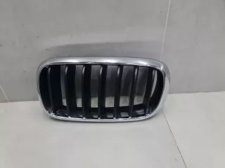 51137316053 Решетка радиатора левая BMW X5 F15 Арт Z330158, вид 1