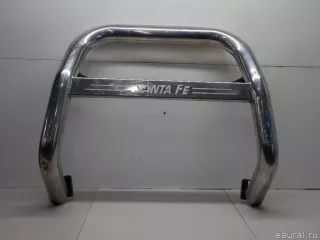  Отбойник передний (кенгурятник) Hyundai Santa FE 4 (TM) restailing Арт E40991609, вид 2