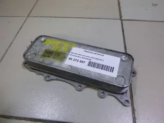 6421800165 Mercedes Benz Радиатор масляный Mercedes E W211 Арт E60272887, вид 1