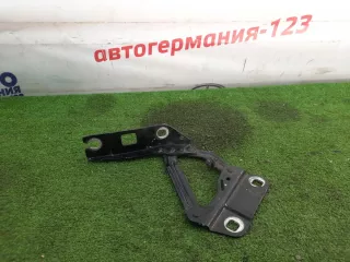 A2518800428, 2518800228 Петля капота Mercedes GL X164 Арт 33526, вид 1