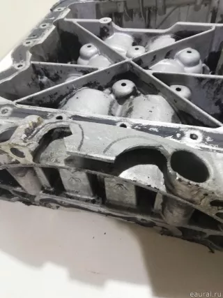110172100R Renault Поддон масляный двигателя Renault Scenic 2 Арт E21833287, вид 11