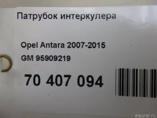 95909219 GM Патрубок интеркулера Opel Antara Арт E70407094, вид 8