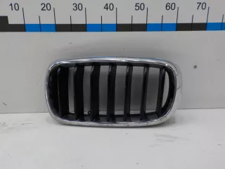 51137316053  Решетка радиатора BMW X5 F15 Арт 724755, вид 1
