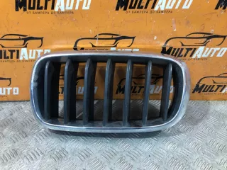 51117308660 Решетка радиатора BMW X6 E71/E72 Арт 122414MA, вид 1