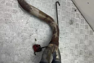 art9649590 Гофра глушителя BMW 3 E90/E91/E92/E93 Арт 9649590