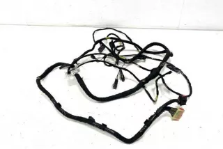 22843844, 121004 , art11339175 Проводка Chevrolet Volt Арт 11339175, вид 1