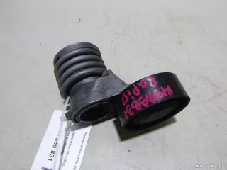 03D903305F VAG Ролик-натяжитель ручейкового ремня Seat Ibiza 4 Арт E14889831, вид 1