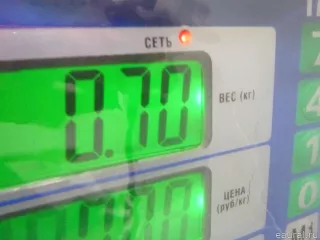 03D903305F VAG Ролик-натяжитель ручейкового ремня Seat Ibiza 4 Арт E14889831, вид 5