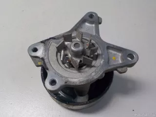 B1010EN20B Nissan Насос антифриза (помпа) Renault Megane 3 Арт E50224903, вид 6