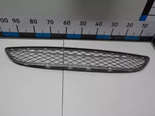 51117176282 BMW Заглушка (решетка) в бампер передний BMW X6 E71/E72 Арт E51574808, вид 1