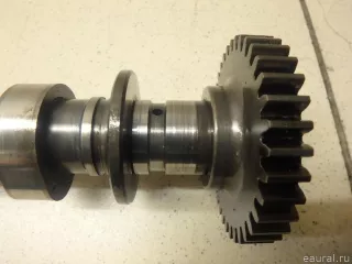 1300100Q0H Nissan Распредвал выпускной Nissan Qashqai 2 restailing Арт E95134242, вид 3