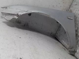  крыло перед лев Volkswagen Passat B5 Арт 23001034, вид 1