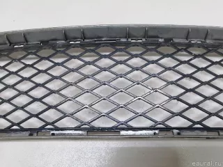 51117163957 BMW Решетка в бампер центральная BMW X5 E70 Арт E23258859, вид 3