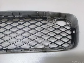 51117163957 BMW Решетка в бампер центральная BMW X5 E70 Арт E23258859, вид 4