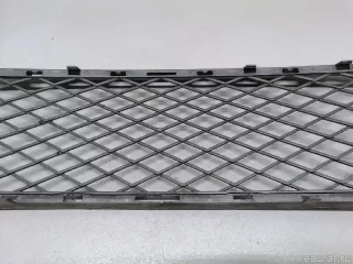 51117163957 BMW Решетка в бампер центральная BMW X5 E70 Арт E23258859, вид 7