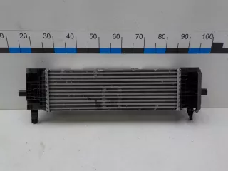 17518582879  Интеркулер (радиатор турбины) BMW X4 G02 Арт BIT726959, вид 1